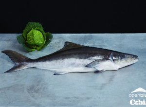 Spezialitäten vom Open Blue Cobia Fisch mit Rezepturen
